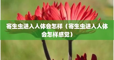 寄生虫进入人体会怎样（寄生虫进入人体会怎样感觉）
