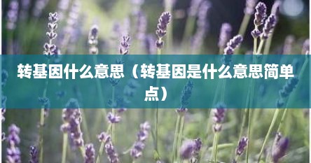 转基因什么意思（转基因是什么意思简单点）