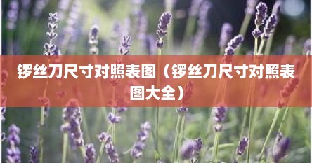 锣丝刀尺寸对照表图（锣丝刀尺寸对照表图大全）