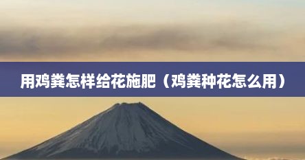 用鸡粪怎样给花施肥(鸡粪种花怎么用)