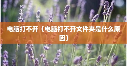 电脑打不开（电脑打不开文件夹是什么原因）