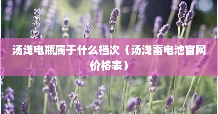 汤浅电瓶属于什么档次（汤浅蓄电池官网价格表）
