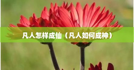 凡人怎样成仙（凡人如何成神）