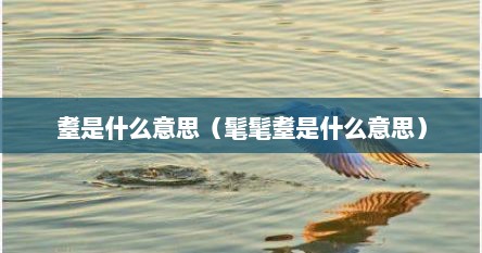 耋是什么意思（髦髦耋是什么意思）