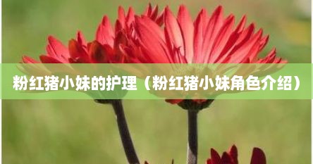 粉红猪小妹的护理（粉红猪小妹角色介绍）