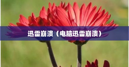 迅雷崩溃(电脑迅雷崩溃) 迅雷崩溃(电脑迅雷崩溃)