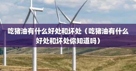 吃猪油有什么好处和坏处（吃猪油有什么好处和坏处你知道吗）