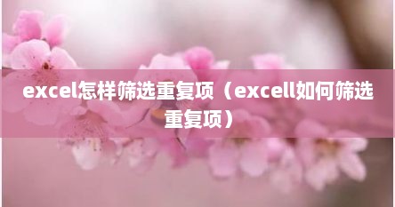 excel怎样筛选重复项（excell如何筛选重复项）