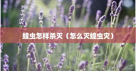蝗虫怎样杀灭（怎么灭蝗虫灾）