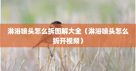 淋浴喷头怎么拆图解大全（淋浴喷头怎么拆开视频）