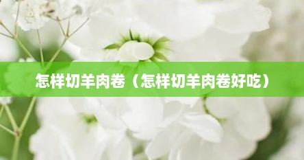 怎样切羊肉卷（怎样切羊肉卷好吃）