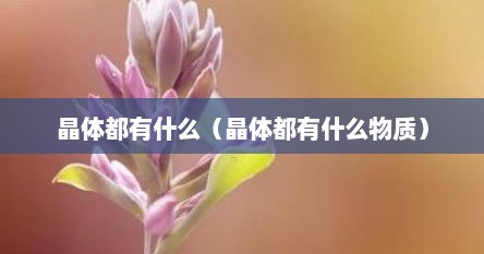 晶体都有什么（晶体都有什么物质）