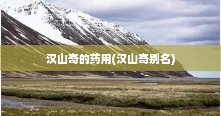 汉山奇的药用(汉山奇别名)