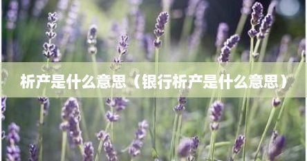 析产是什么意思（银行析产是什么意思）