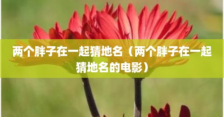 两个胖子在一起猜地名（两个胖子在一起猜地名的电影）