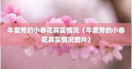 牛爱芳的小春花真实情况（牛爱芳的小春花真实情况图片）