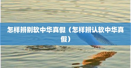 怎样辨别软中华真假（怎样辨认软中华真假）