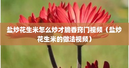 盐炒花生米怎么炒才脆香窍门视频（盐炒花生米的做法视频）