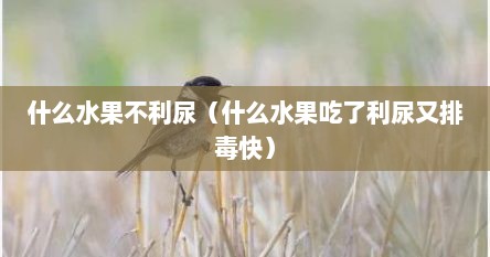 什么水果不利尿（什么水果吃了利尿又排毒快）