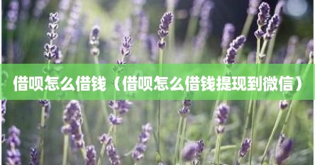 借呗怎么借钱（借呗怎么借钱提现到微信）