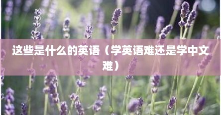 这些是什么的英语（学英语难还是学中文难）