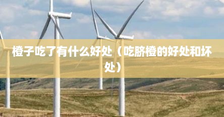 橙子吃了有什么好处（吃脐橙的好处和坏处）