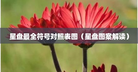 星盘最全符号对照表图（星盘图案解读）