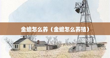 金蟾怎么养（金蟾怎么养殖）