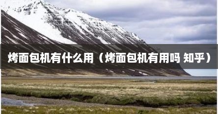 烤面包机有什么用（烤面包机有用吗 知乎）