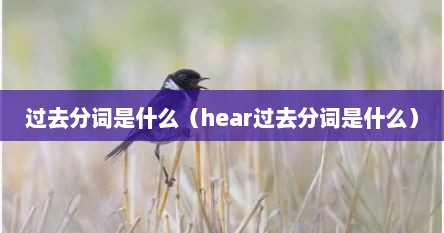 过去分词是什么（hear过去分词是什么）