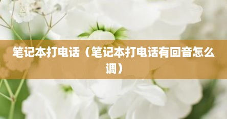 笔记本打电话（笔记本打电话有回音怎么调）