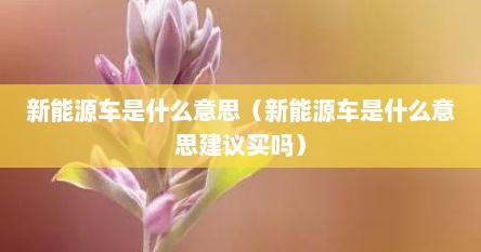 新能源车是什么意思（新能源车是什么意思建议买吗）