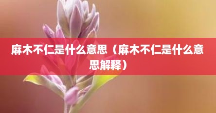 麻木不仁是什么意思（麻木不仁是什么意思解释）