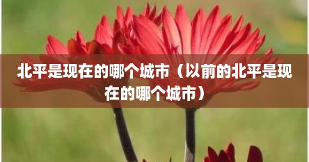 北平是现在的哪个城市（以前的北平是现在的哪个城市）
