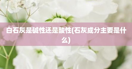 白石灰是碱性还是酸性(石灰成分主要是什么)