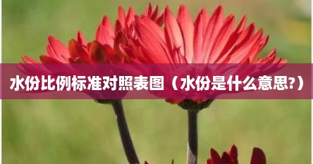 水份比例标准对照表图（水份是什么意思?）