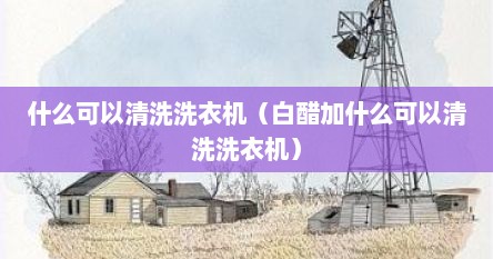 什么可以清洗洗衣机（白醋加什么可以清洗洗衣机）