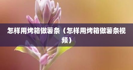 怎样用烤箱做薯条（怎样用烤箱做薯条视频）