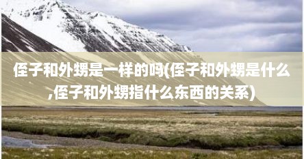 侄子和外甥是一样的吗(侄子和外甥是什么,侄子和外甥指什么东西的关系)