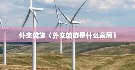外交斡旋（外交斡旋是什么意思）