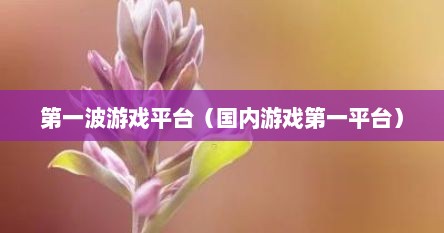 第一波游戏平台（国内游戏第一平台）