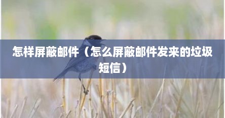 怎样屏蔽邮件（怎么屏蔽邮件发来的垃圾短信）