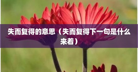 失而复得的意思（失而复得下一句是什么来着）