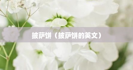 披萨饼（披萨饼的英文）