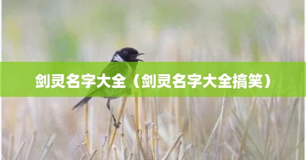 剑灵名字大全（剑灵名字大全搞笑）