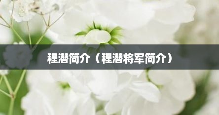 程潜简介（程潜将军简介）