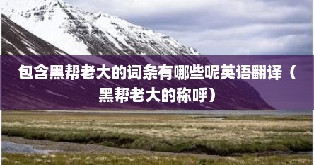 包含黑帮老大的词条有哪些呢英语翻译（黑帮老大的称呼）