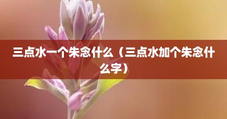 三点水一个朱念什么（三点水加个朱念什么字）