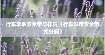 行车未系安全带怎样罚（行车没带安全带扣分吗）