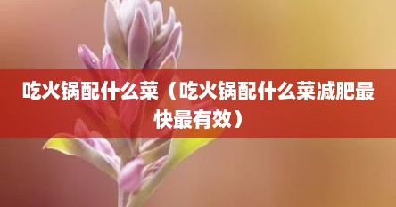 吃火锅配什么菜（吃火锅配什么菜减肥最快最有效）